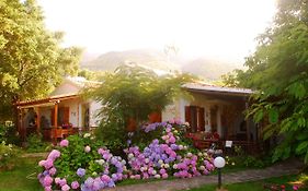 Alekas Studios